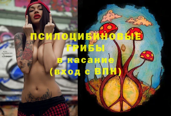 винт Беломорск