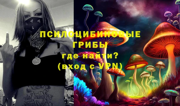 ALPHA-PVP Белокуриха