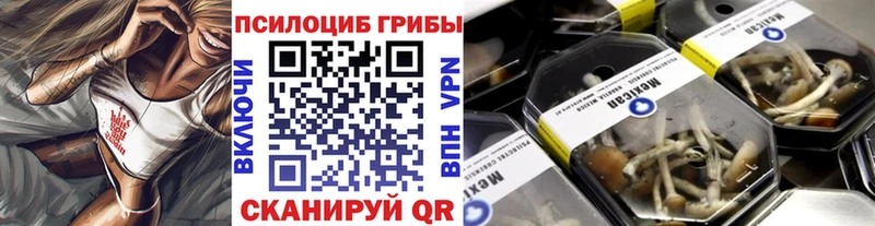 Купить где Саянск Галлюциногенные грибы Magic Shrooms